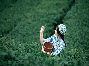 The Rich History and Cultural Significance of Tea Culture in China
