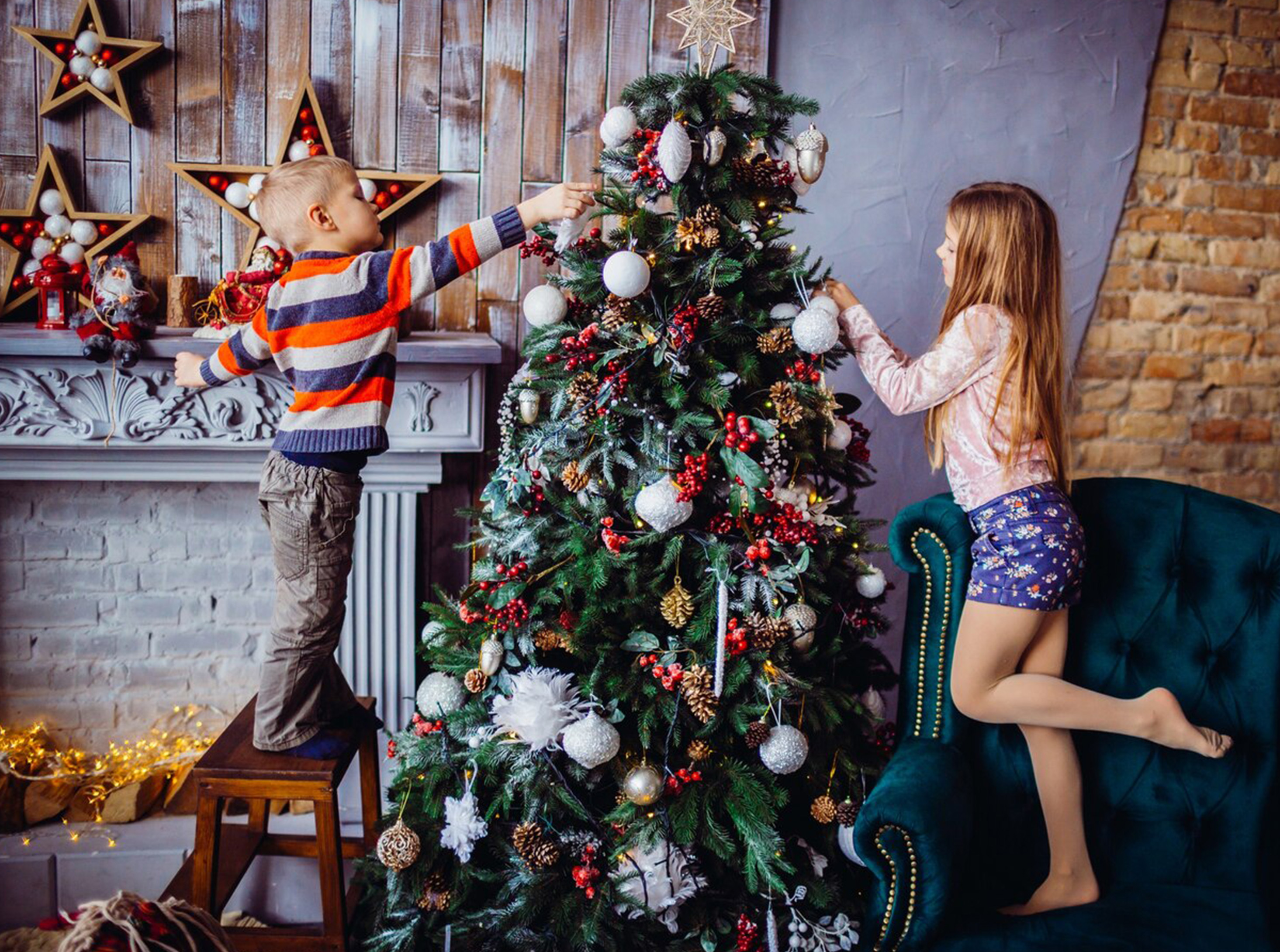 Healthy Christmas Fruitcake Recipe