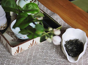 Biluochun Tea: Unveiling the Enchanting Brew of Chinese Tradition