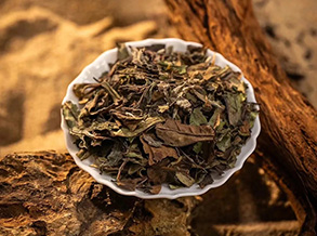 What is the white tea?
