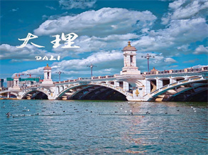 The Ultimate Dali Adventure Guide 2025