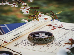 The Reunion Code in the Thousand-Year Lantern