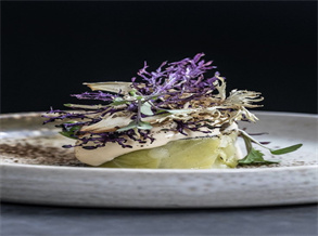 Molecular Gastronomy Red Cabbage Recipe