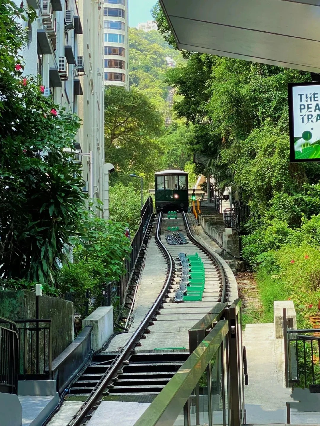 Victoria Peak