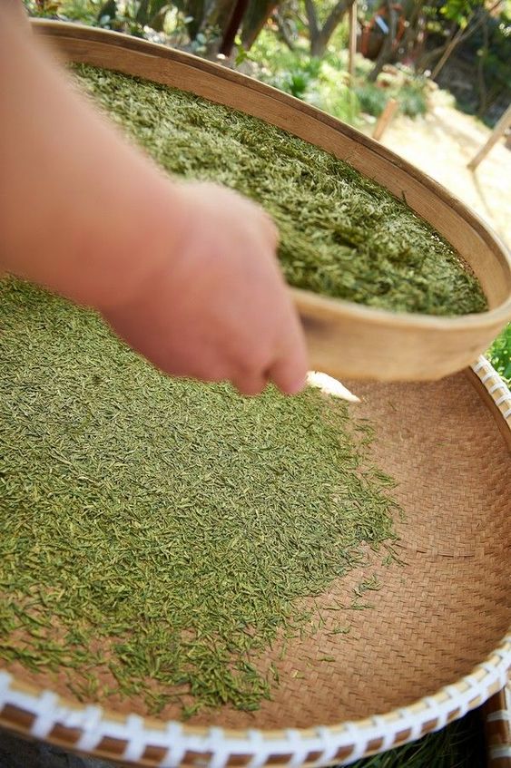 best bbq rubs