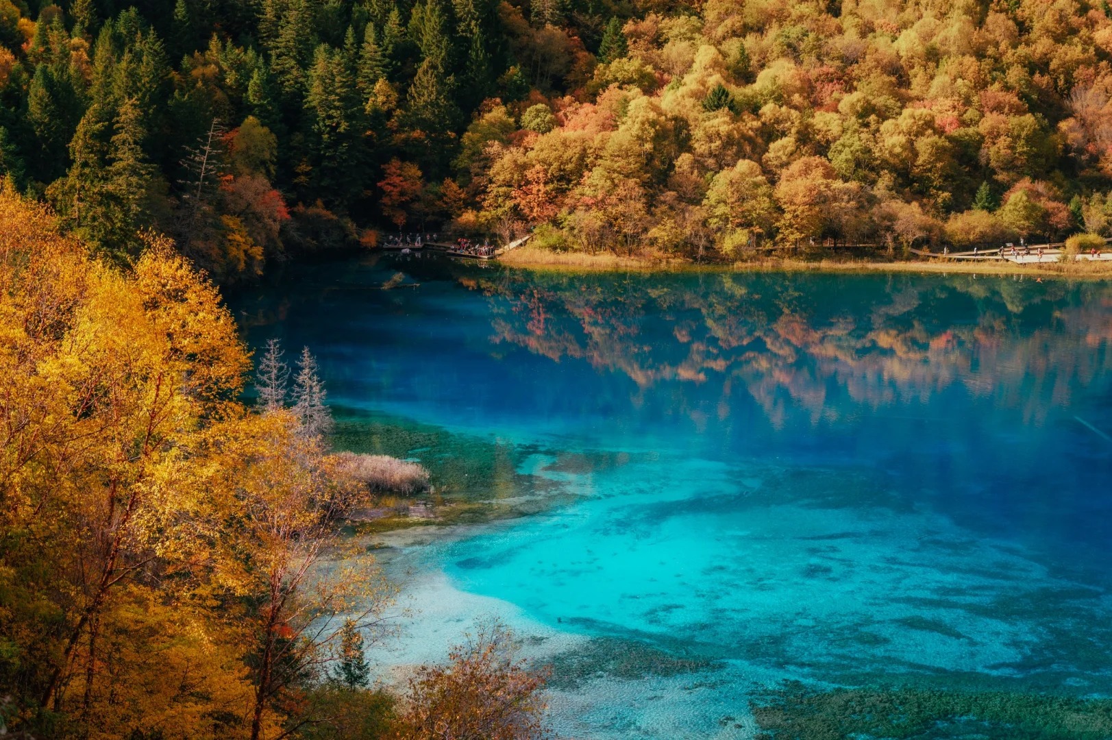 Five Flower Lake