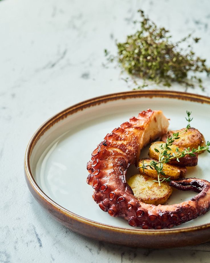 Secret Recipe for Grilled Octopus Tentacles