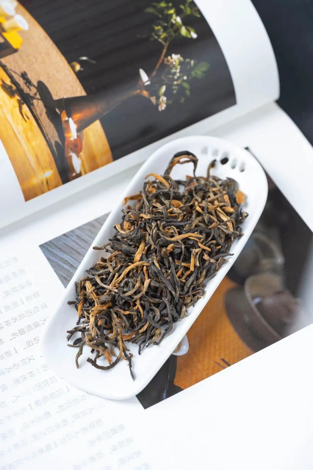 Gourmet Tea BBQ Spice Mix